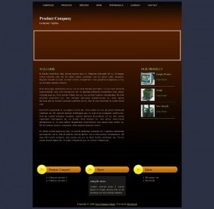 Website Company Product