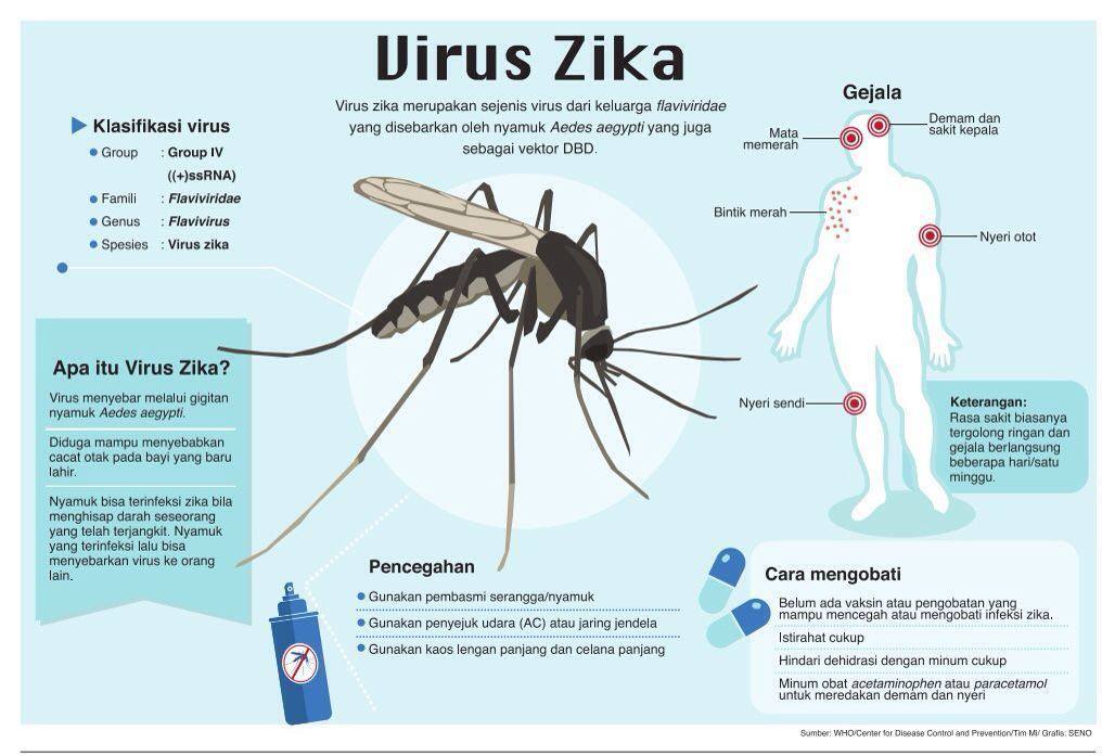 Infografis mengenai virus Zika